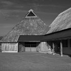 NZF_1326