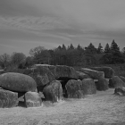 NZF_1347