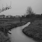 NZF_1324