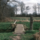 DSCF4143