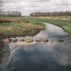 DSCF4144
