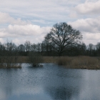 DSCF4146
