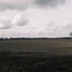 DSCF4155