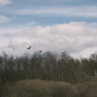 DSCF4162
