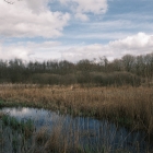 DSCF4164