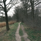 DSCF4165