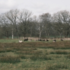 DSCF4169