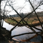 DSCF4105