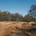 DSCF4115