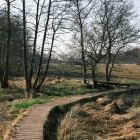 DSCF4118