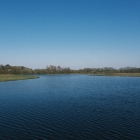 DSCF4125