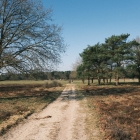 DSCF4128