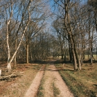 DSCF4131