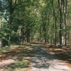 DSCF4509