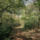 DSCF4512