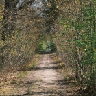 DSCF4514