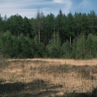 DSCF4519