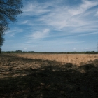 DSCF4526