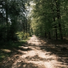 DSCF4527