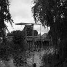 NZF_1507