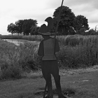NZF_1508