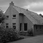 NZF_1517