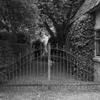 NZF_1529