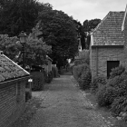 NZF_1530