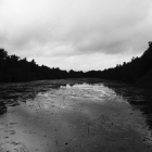 DSCF5204
