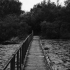DSCF5209