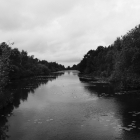 DSCF5217