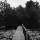 DSCF5219
