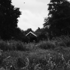 DSCF5226