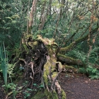 DSCF5168