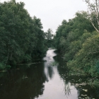DSCF5173