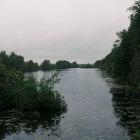 DSCF5177