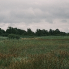 DSCF5193