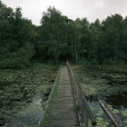 DSCF5197