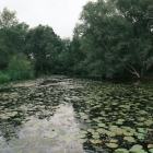 DSCF5198