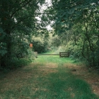 DSCF5227