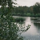 DSCF5236