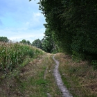 Z8A_5361